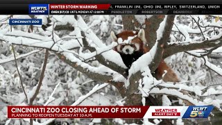 Cincinnati Zoo to close Sunday, Monday as significant winter storm arrives