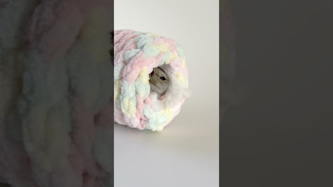 ちい ☆ ハムちぐら 楽天市場】ハムちぐらの通販