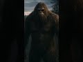 BIGFOOT IN THE HOOD #Bigfoot #Sasquatch #BigfootStories #BigfootEncounters #TrueBigfootStories