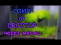 СОИЛ ОТ DECOTOP ЧЕРЕЗ МЕСЯЦ. ТЕСТЫ, ВЫВОДЫ И ПЕРСПЕКТИВЫ #АКВАМЕН #АКВАРИУМ