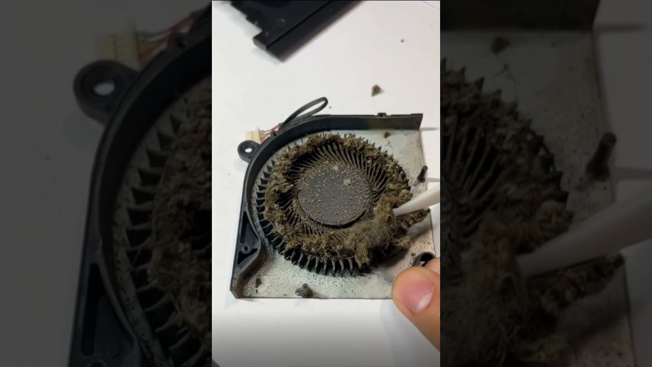 Fan cleaning and maintenance 