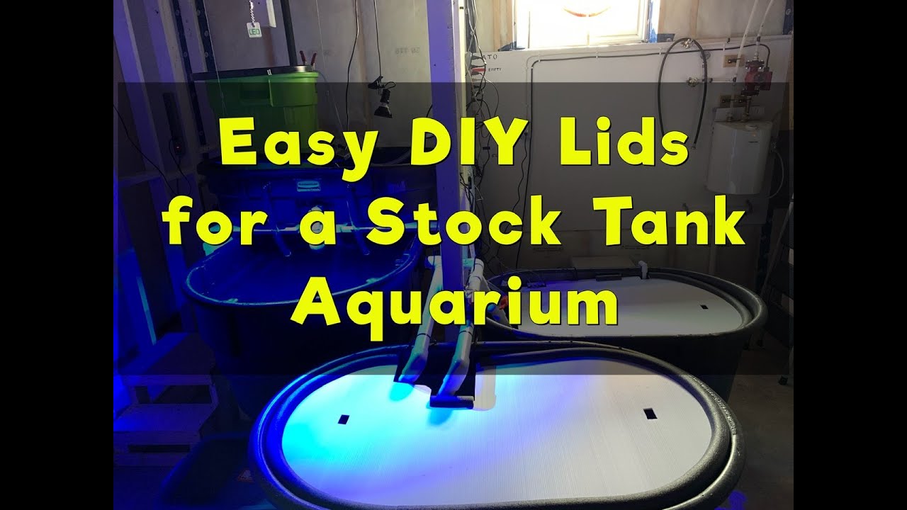Easy DIY Lids for a Stock Tank Aquarium YouTube
