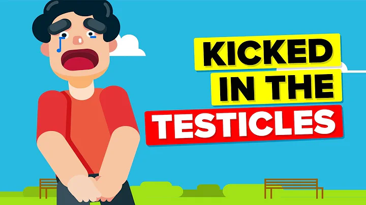 Why Does Getting Kicked in the Testicles Hurt So B...
