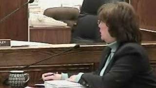 Watertown City Council 11.19.2007