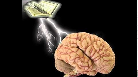 محمد البراك - سورة الواقعه