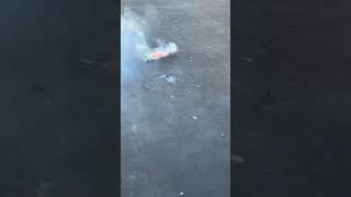 Mr. Turtle explodes #mrturtle #fireworks #boom #summer