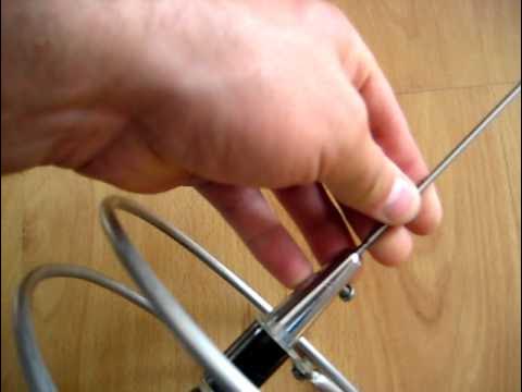 Najas bilan ovqatlanish bilan jinsiy aloqa