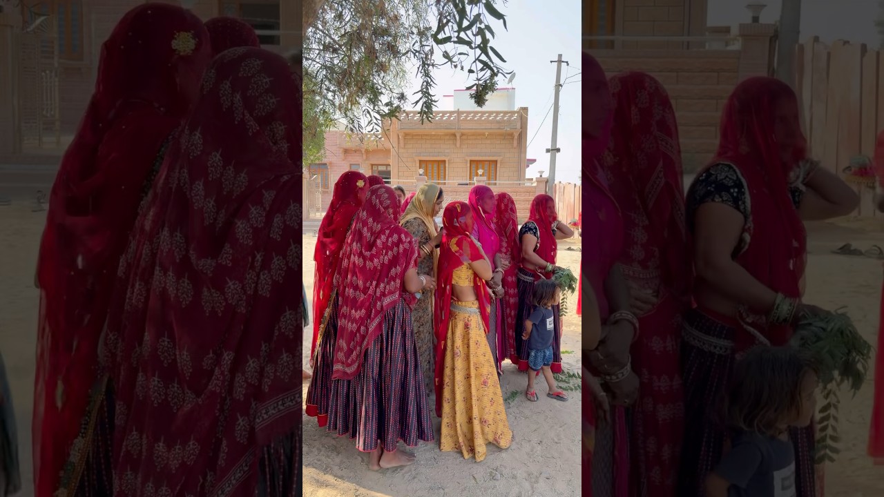 नया ट्रैक्टर लेने #rajasthani #rajasthan #viralvideo #song #rajasthaniclture #trendingshorts #trendi