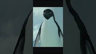 Download Lagu Andean penguins are a bit too lively.#shorts #animals #penguin MP3 Download Lagu Andean penguins are a bit too lively.#shorts #animals #penguin MP3