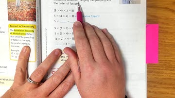 3rd Grade Module 4, Lesson 3