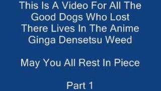 A Video To Good Dogs Who Lost Their Lives