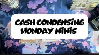 Small Cash Condensing/ Mini Monday