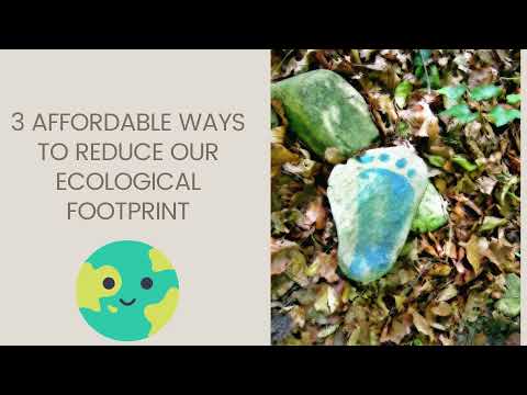 How To Reduce Your Ecological Footprint Goods