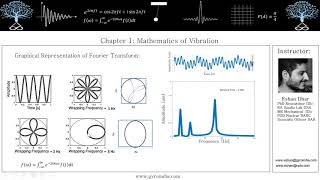 Vibrations: Theory and Experiments