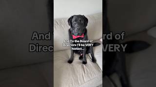 Celebrity King Clarence is interested in becoming Astronomer CEO after viral Coldplay concert incident… Wealth