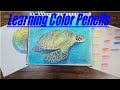 How to bring color into my artwork ( Learning color Pencil)