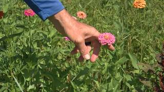Sweating it out: Charlotte farmers eager for fall amid September heat wave