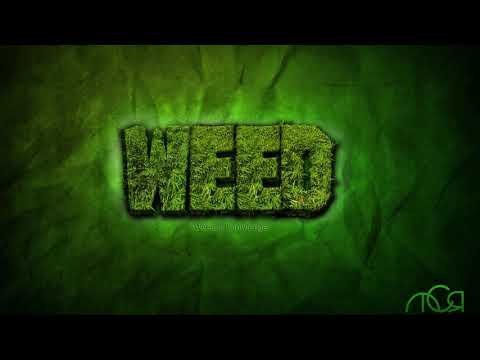 **WEED** Reggae Trap Beat Instrumental 2018 FD