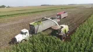 CY Harvesting, Chopping Silage 2015