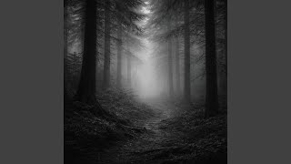 Me Fui Sin Hacer Ruido