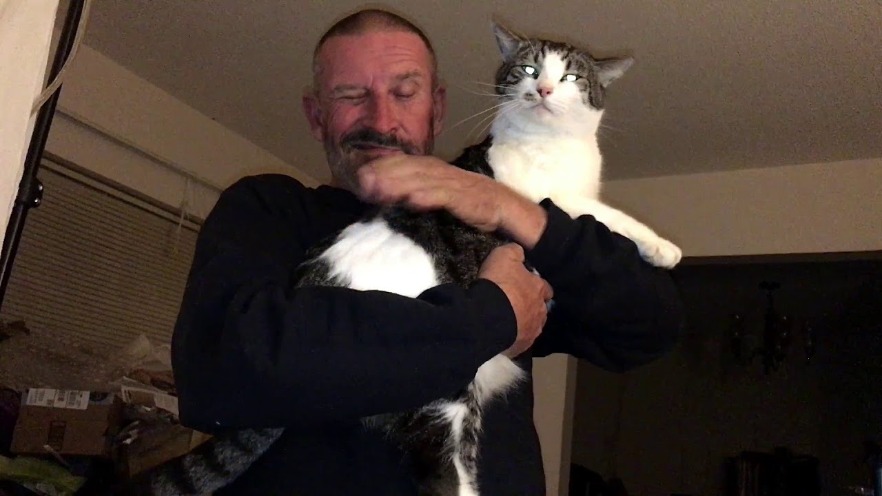 Cats! Bubby Being Playful and Runt eating Broccoli!