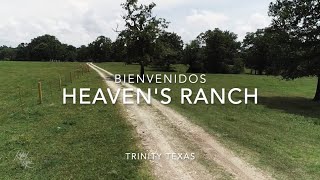 Heaven&#39; Ranch