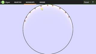 Cell Lab - Challenge 1: Algae