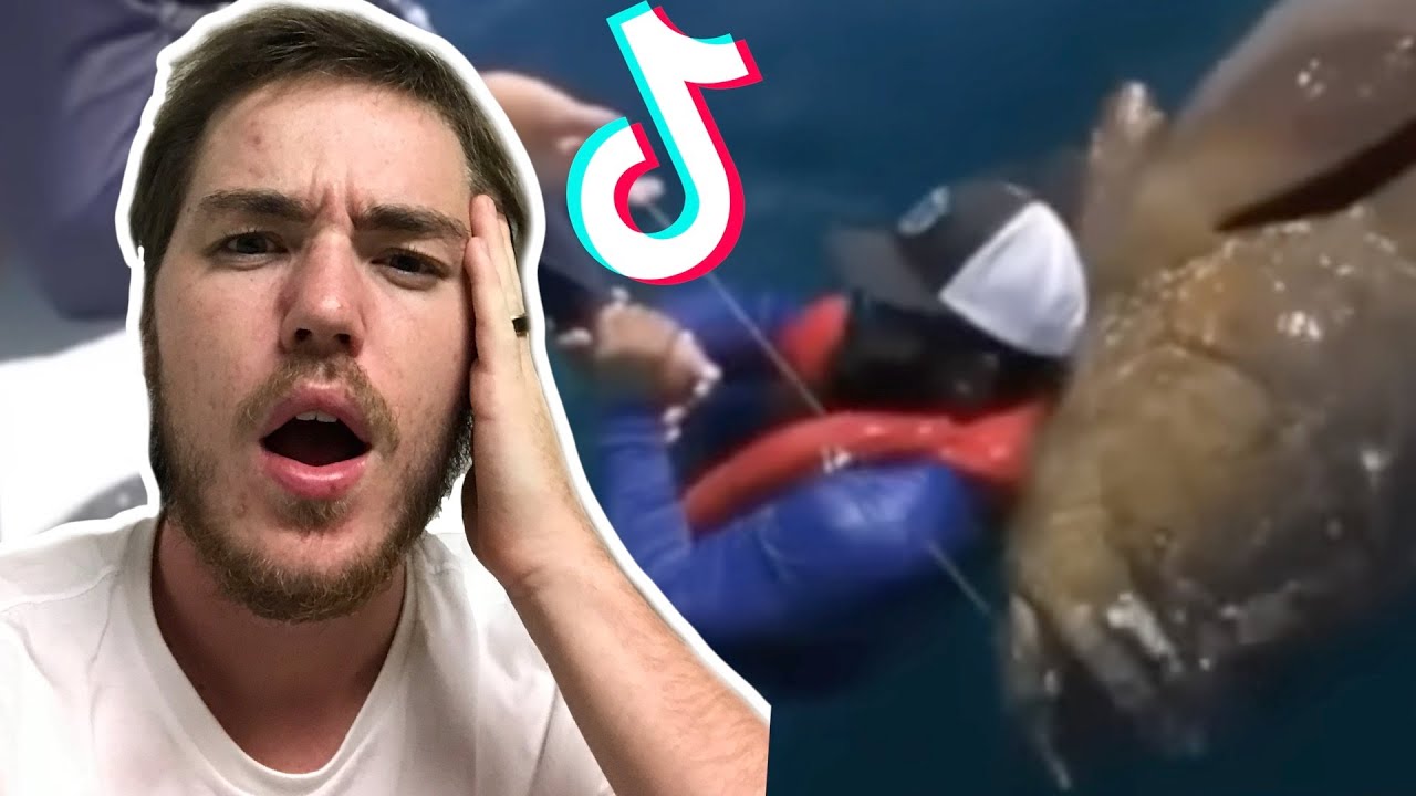 Fish Biologist reacts to HILARIOUS Fish Tik Toks YouTube