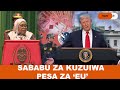 RAIS SAMIA AJIBU KUZUIWA PESA ZA EU WAO SIO WAKOLONI WETU SASA RAIS SAMIA AJIBU KUZUIWA PESA ZA EU WAO SIO WAKOLONI WETU SASA