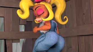 Coco Bandicoot Fart 1