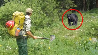 6 Bear Encounters You Don't Want to See (Part 2)