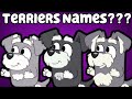FINALLY we found out The Terriers names from Bluey!