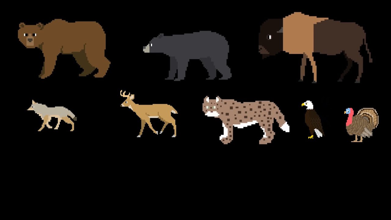 Американские животные - @TheKidsPictureShow