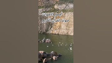 قران كريم😍🤲 بصوت جميل للشيخ اسلام صبحي#المصحف سورة يوسف #اكسبلور #المصحف #راحة_نفسية