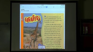 Google Classroom  - Notability Tutorial