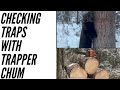 Episode 2: Checking Traps || Trapper Chum