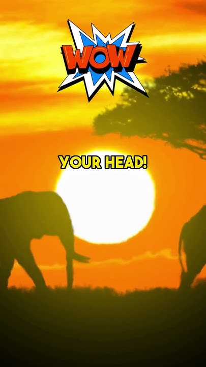 how-much-do-clouds-weigh-shorts-viral-youtube