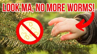 Pinworm Home Treatment: 10 Potent Remedies + BONUS Tip