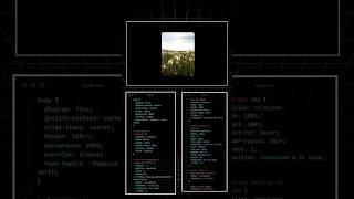 image hover effect using HTML, CSS, and JavaScript #coding #css #html #htmlcssjavascript #webdesign