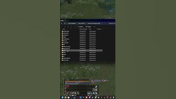 Como deixar o Chat Colorido Part 1 - L2 Reborn signature 1x | #tiodovinho em #Twitch