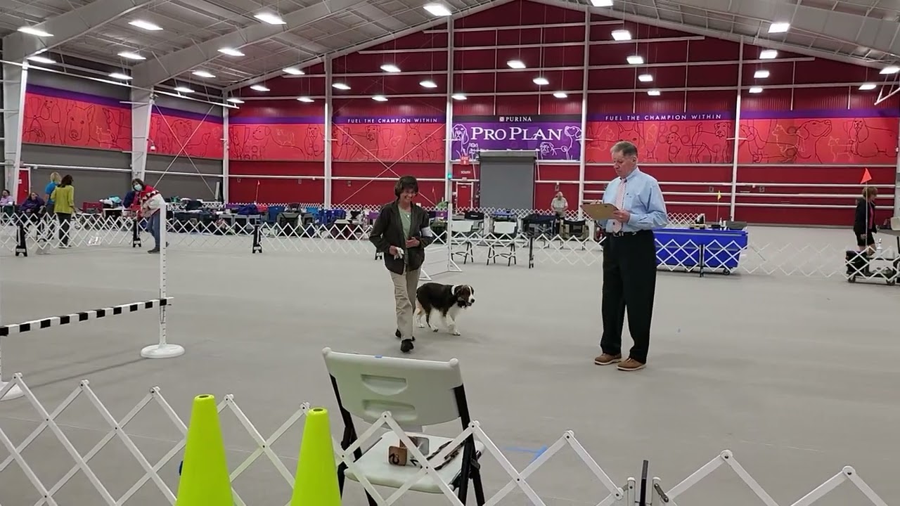 Purina Farms Hours Gray Summit Purina Farms Hours Gray Summit