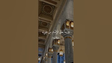 #سورة_السجدة #القرآن_الكريم #القرآن #quran #الله