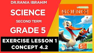 Grade 5 Exercise Lesson1 Concept 4.2 2026 حل الدرس الاول الكونسيبت الاخير ساينس سنة خامسة الترم 2