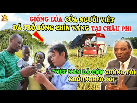 Video Hàng Triệu Người Mozambique Châu Phi VỠ ÒA HẠNH PHÚC... - youtube