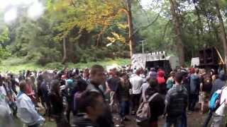 Party In Them There Woods