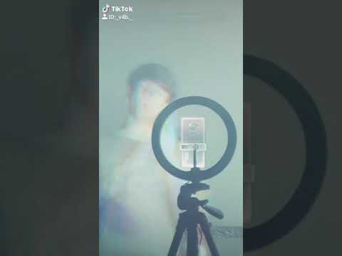 خلص العمر طير يا حمام