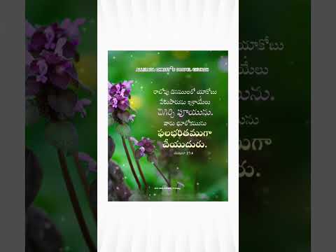 today's promise of GOD #trend #trending #viralvedio #ytshorts #yt #viral