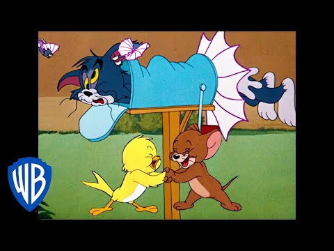 Tom & Jerry |  B-b-b-birds! | Classic Cartoon Compilation | WB Kids