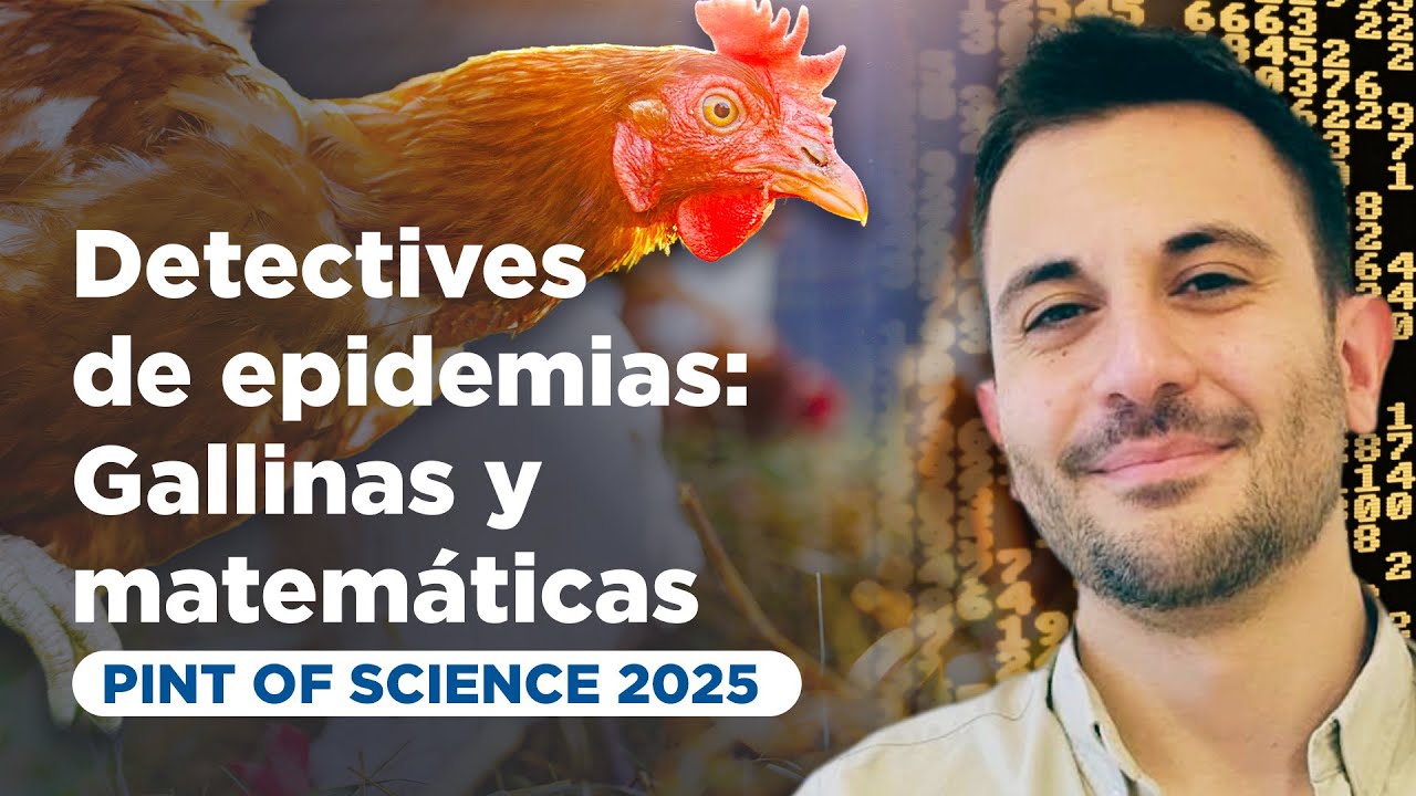Detectives de epidemias: Gallinas y matemáticas