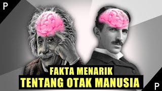 Mengungkap Misteri Otak Manusia: Fakta - fakta Menarik Tentang Otak Manusia